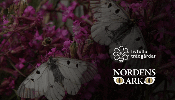 Targetaid Case Nordens Ark Livfulla Tradgardar 1240X710 Tp