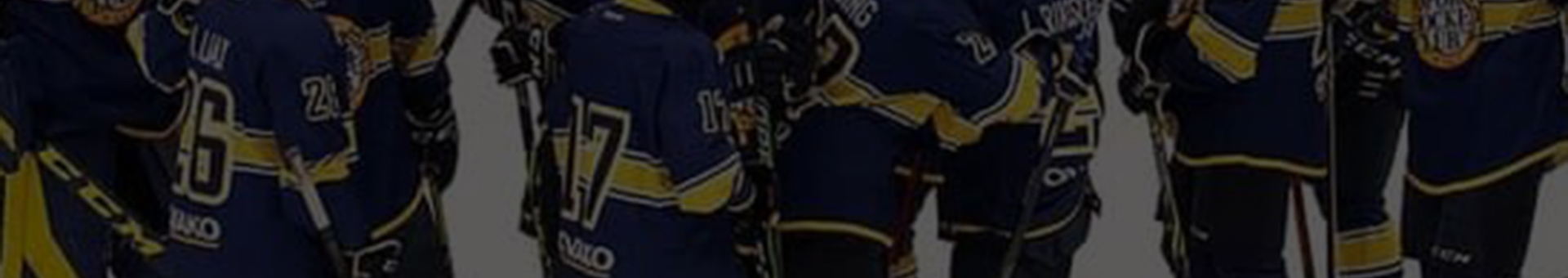 hofors-hc-background.jpg