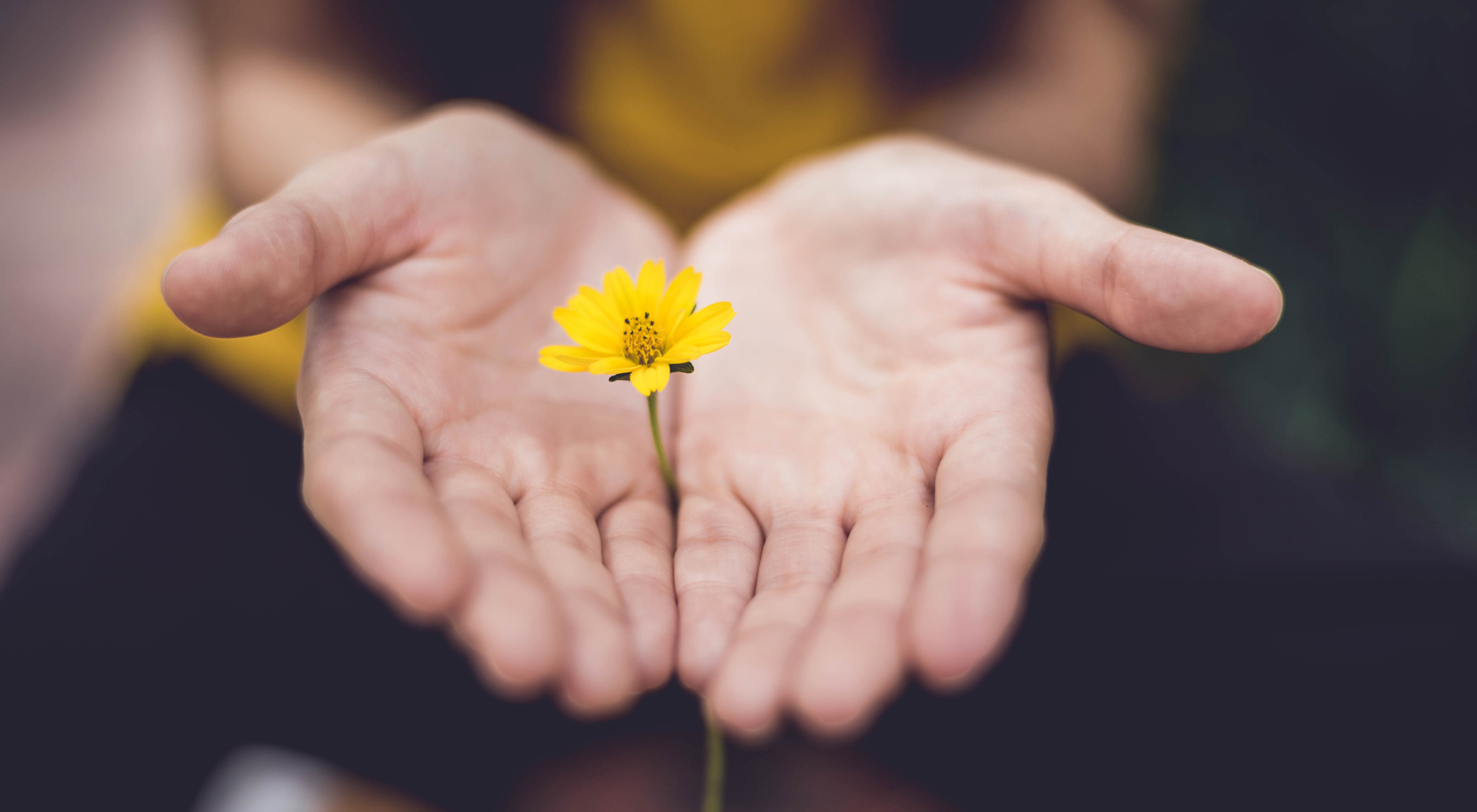flower-in-hands.jpg