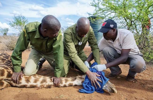 387599913_1981265882250313_2892820240192463068_n.jpg (1)