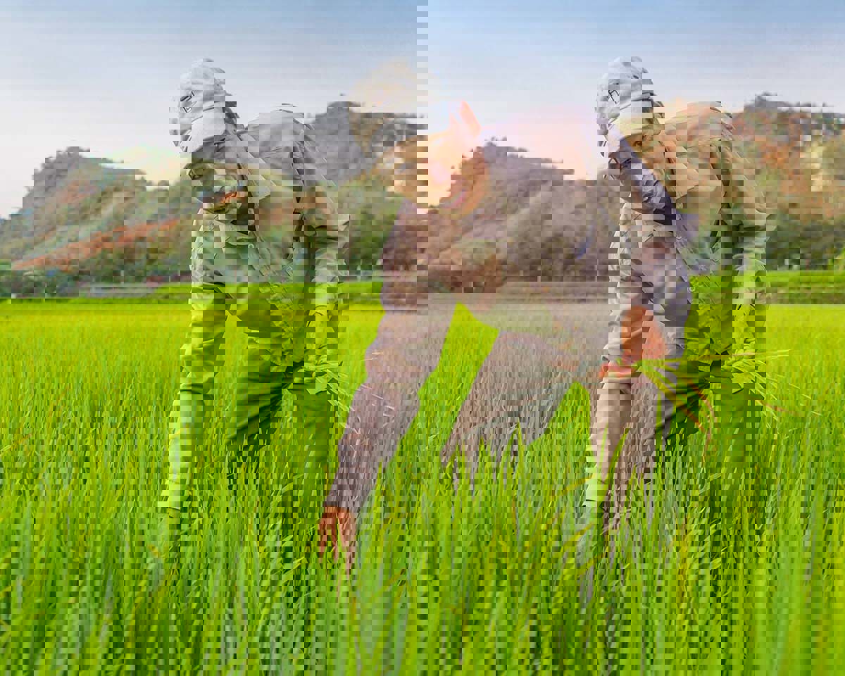 Targetaid 1200X960