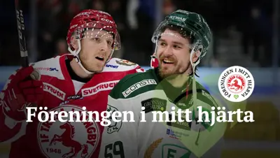 targetaid_fimh_linus-johansson-mattias-akesson_farjestad-bk_troja-ljungby_tp.webp