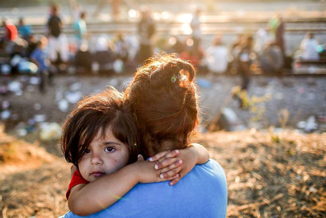 11/16/2021 2:07:32 PM.png