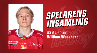 vallentuna-hockey-spelarens-insamling_William-Wassberg.jpg