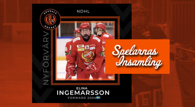uppsala-hockey-spelarnas-insamling-elina-ingemarsson.jpg