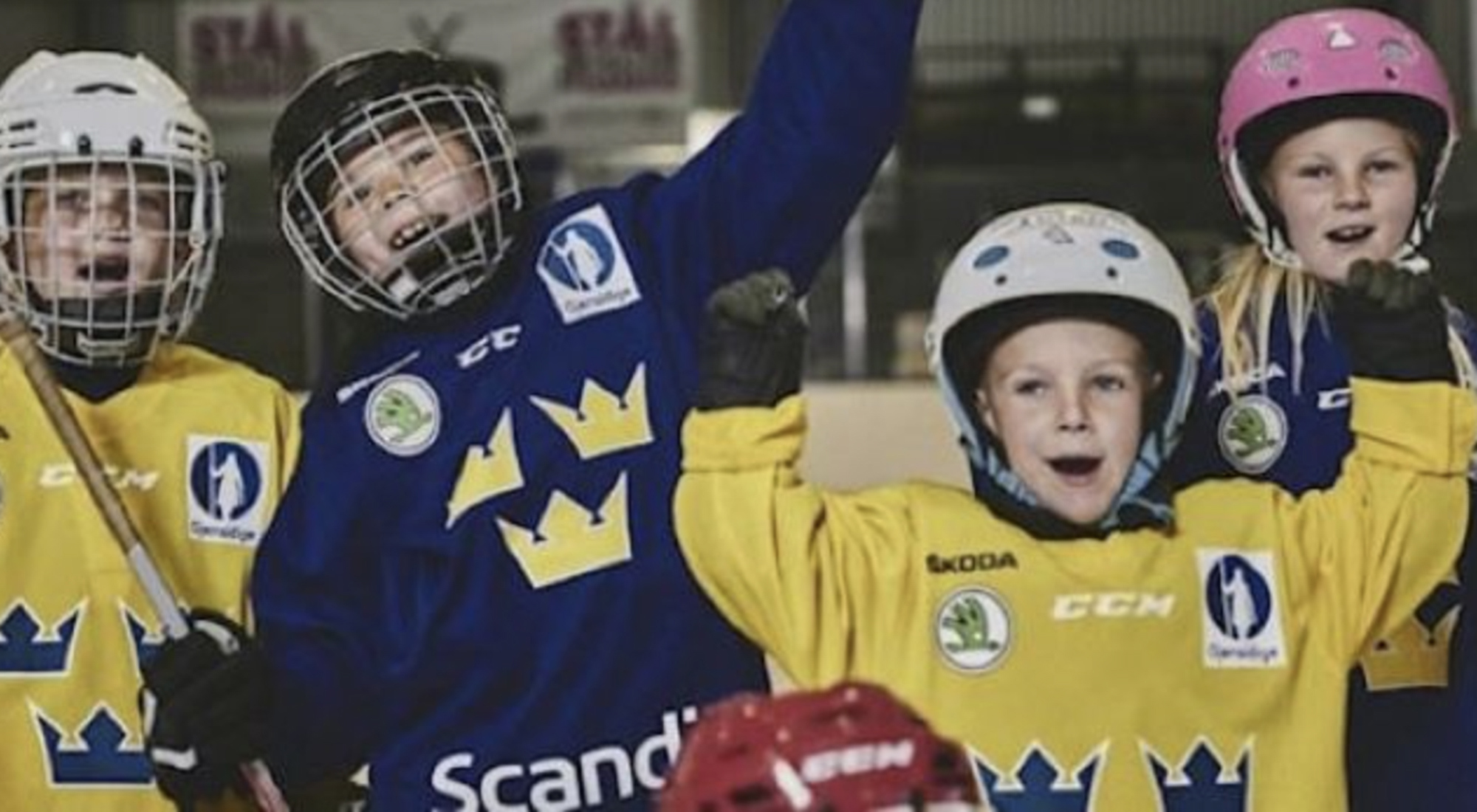 hammaro-hockey-story-hockeyskola.jpg