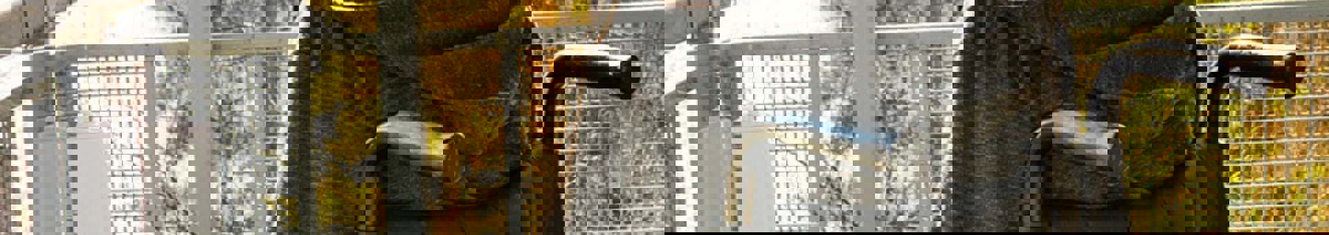 Targetaid SMDF Hero 2000X1100