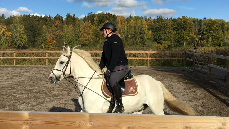 Finntorps_proj_laktare_1600x900.jpg (3)