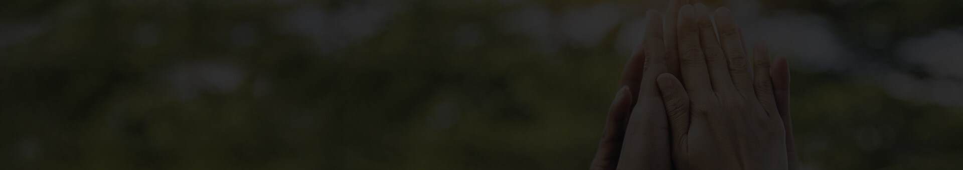 Targetaid Boilerplate Background 1920X340 Tp