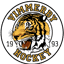 Vimmerby_20.png