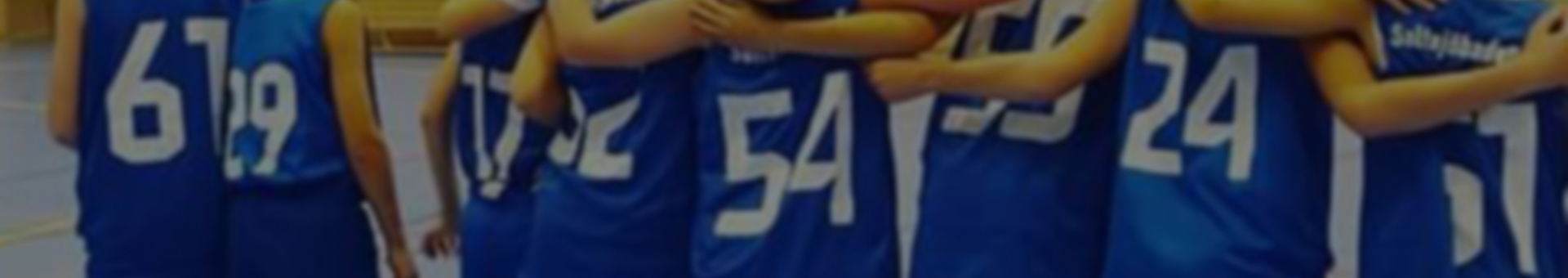 saltsjobaden-if-basket-background.jpg