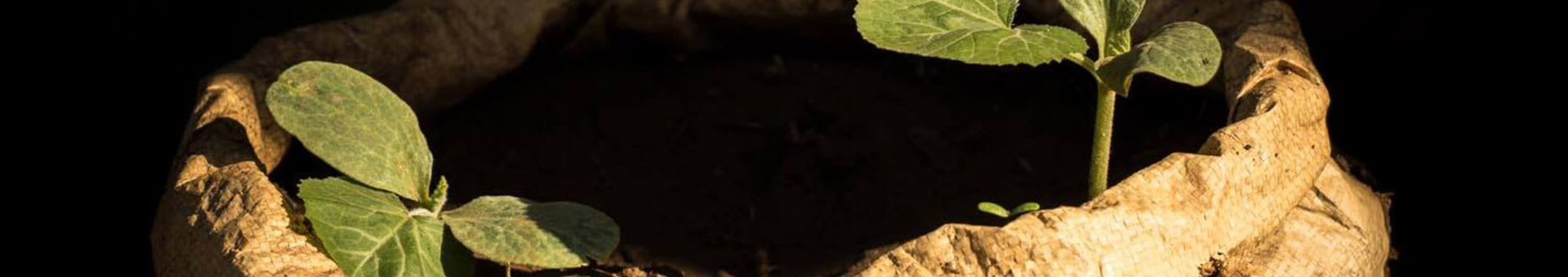 Targetaid We Effect Alt2.2 Hero 2000X1100