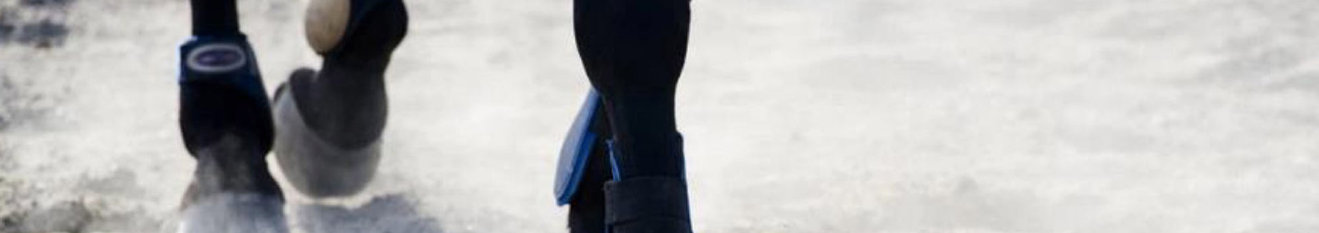 Targetaid Stjärnholms Ryttarförening Hero 2000X1100 (1)