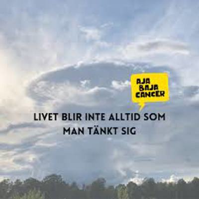 Ajabaja bild .jpeg (1)