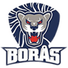 boras-logga.png