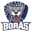 boras-logga.png