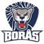 boras-logga.png