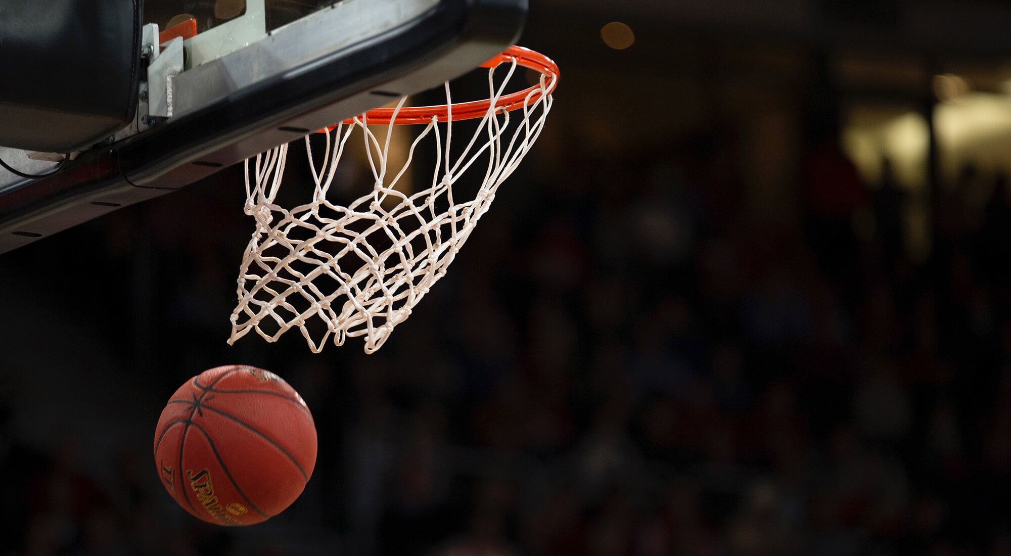 tumba-basket-story_tp.jpg