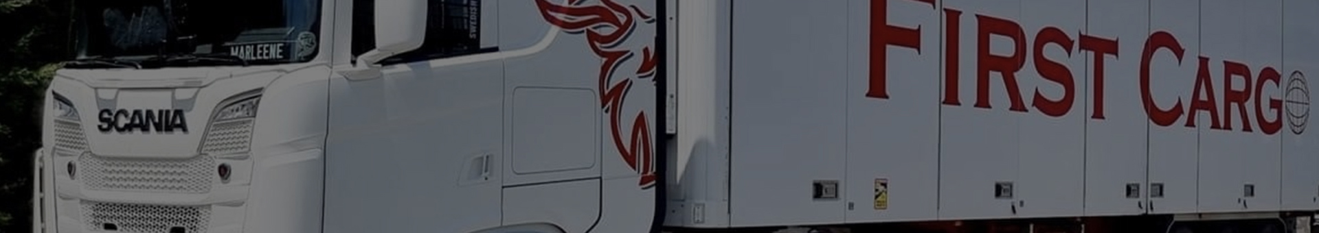 first-cargo-sweden_background.jpg