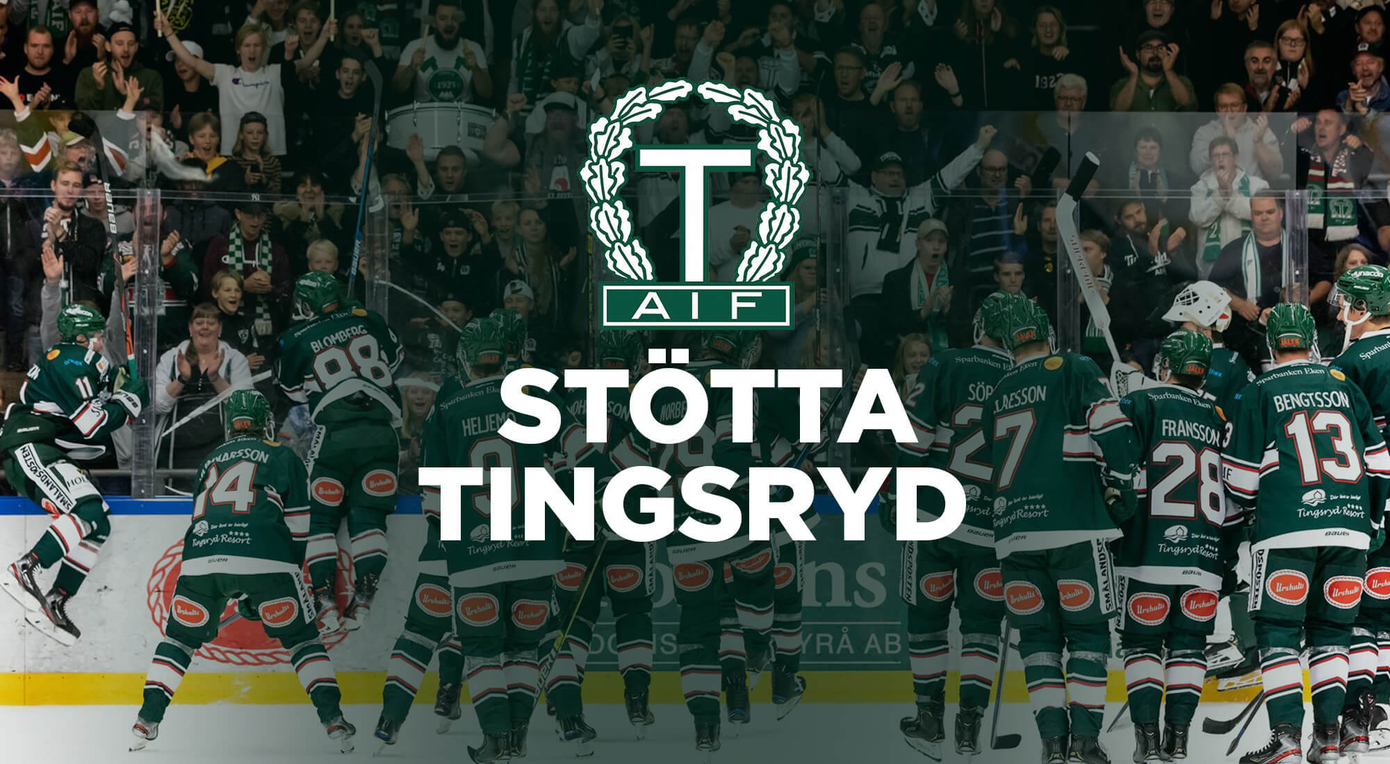 tingsryd_aif_stotta-tingsryd_2000x1100_tp.jpg