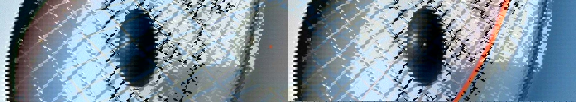 Targetaid Östsvenska Squashförbundet Hero 2000X1100