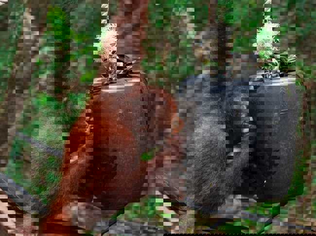 BPI-BOSF-Partners-2025_Onyer_Bjorn-Vaughn_BONUS-06381-scaled.jpg (1)