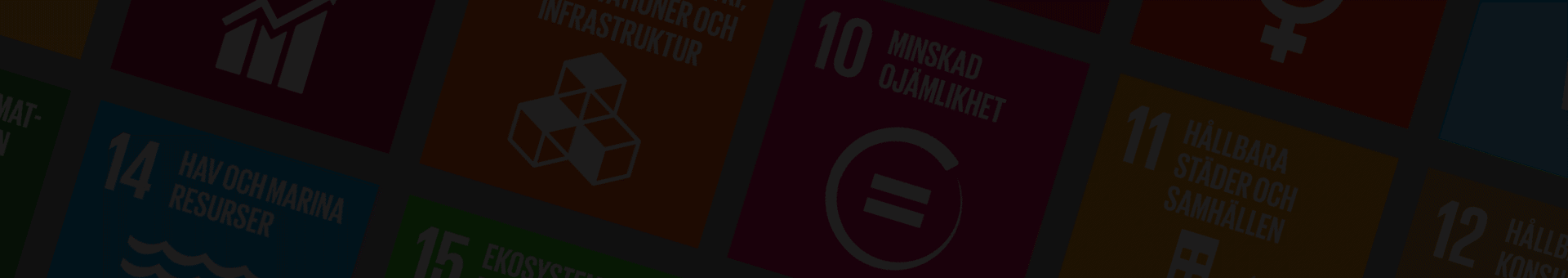 Targetaid Sdgs Background 1920X340 Tp