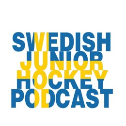 swedish junior hockey flag c.jpg (1)