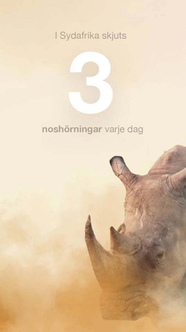 11/16/2021 2:51:03 PM.png