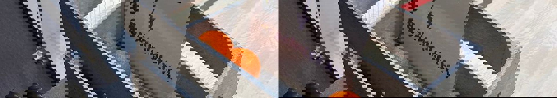 284201169_128544476502741_8489175948408153591_n.jpg (1)