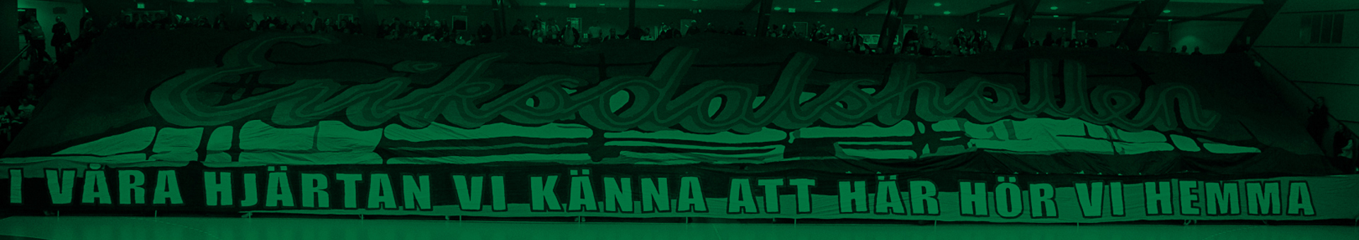 hammarby-handboll-background-green.jpeg