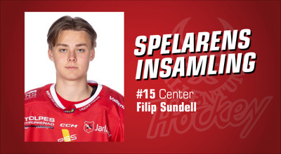 vallentuna-hockey-spelarens-insamling_Filip-Sundell.jpg