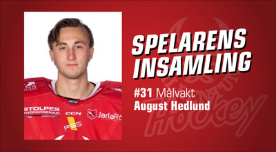 vallentuna-hockey-spelarens-insamling_August-Hedlund.jpg