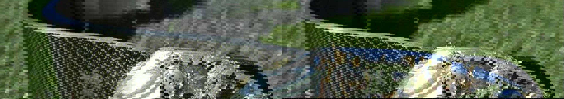 Targetaid Linköpings Parasportförening Hero 2000X1100 (2)