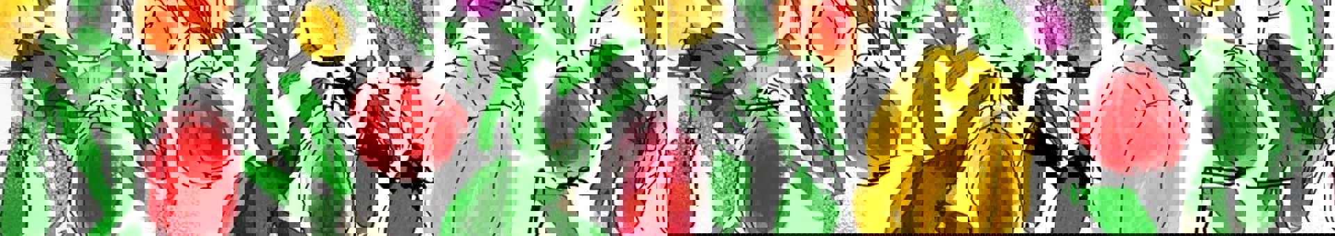 Targetaid Parkinsonfonden Hero 2000X1100