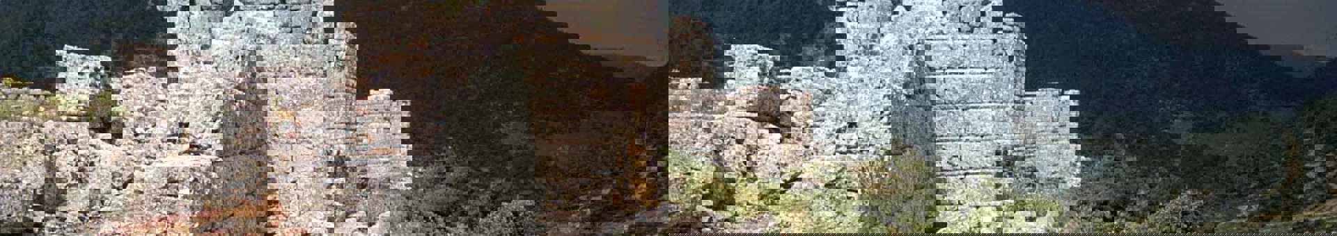 Targetaid Insamlingsstiftelsen Entrepreneurs Without Borders Hero 2000X1100