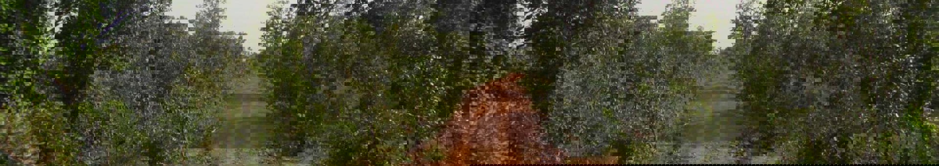 Targetaid The Espersen Foundation Hero 2000X1100