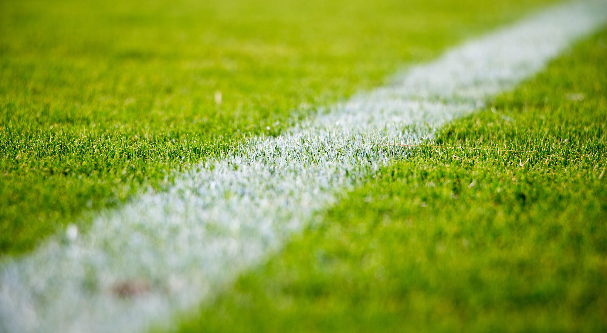 ragsveds-if-om-oss-grass-line_tp.jpg