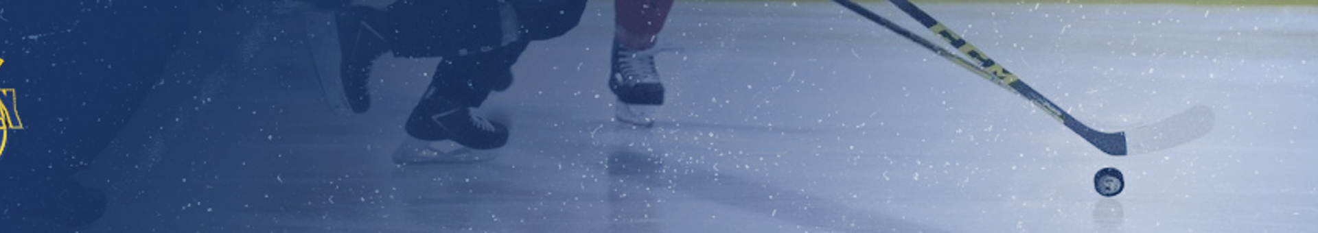 dio hockey.jpg