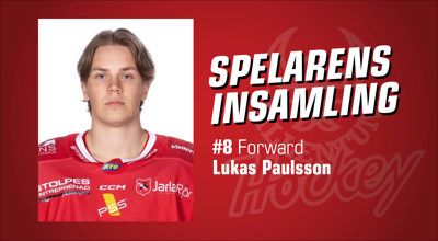 vallentuna-hockey-spelarens-insamling_Lukas-Paulsson.jpg