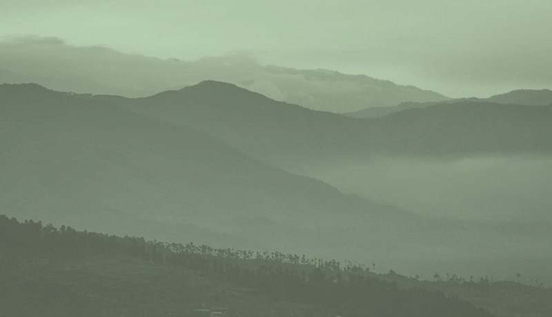 Placeholder Image 800X460