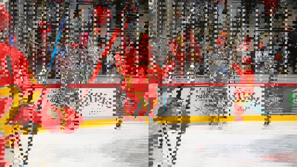 7429353d-5f21-4746-a8f0-ae3685decd5e.jpg (1)