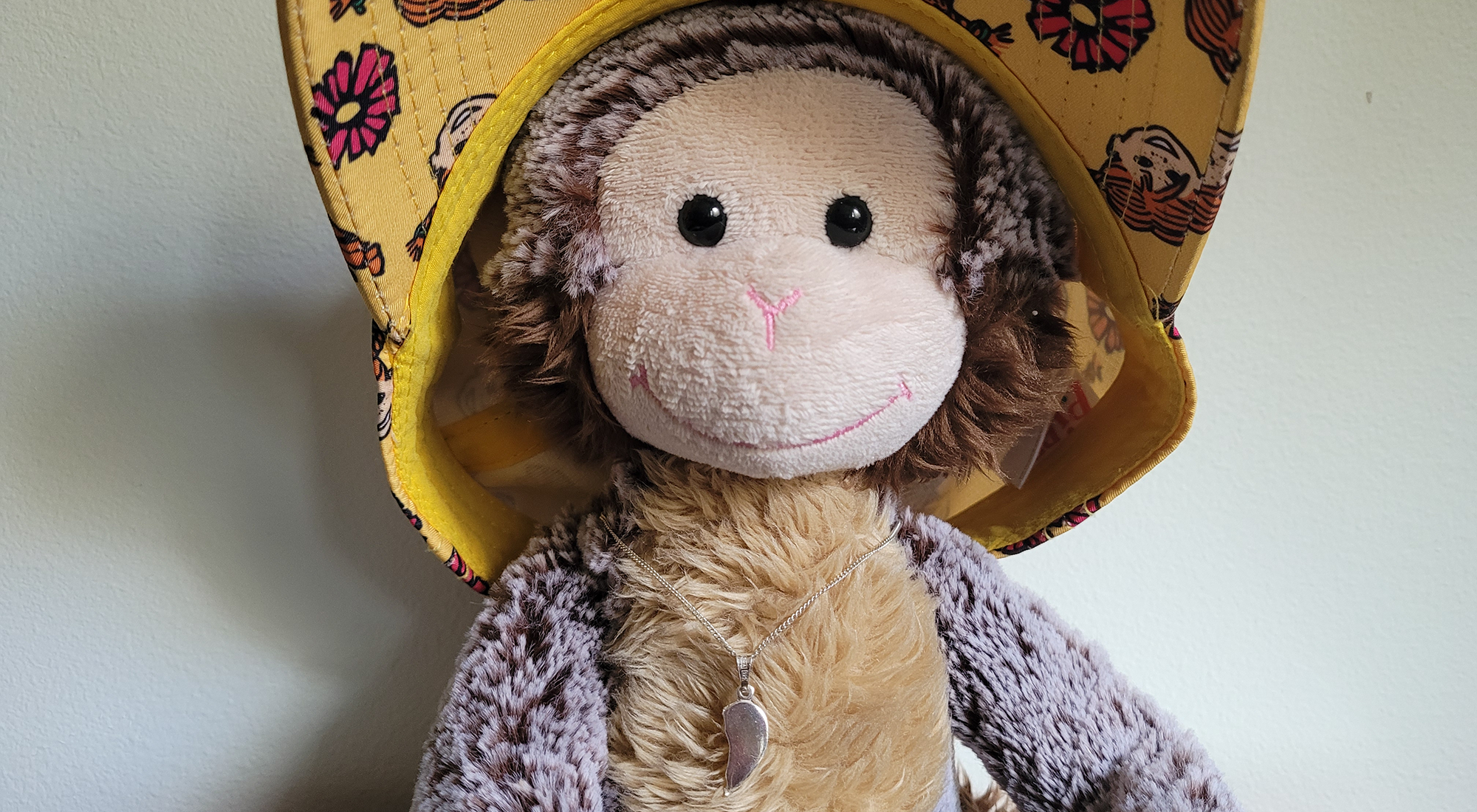 agnes-3.png