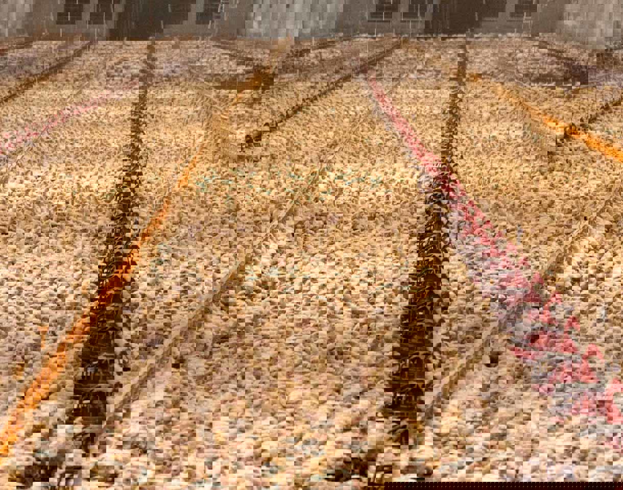 Targetaid Djurens Rätt 1200X960