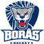 borås logo.png