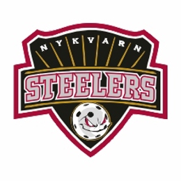 Steelers_white.jpg