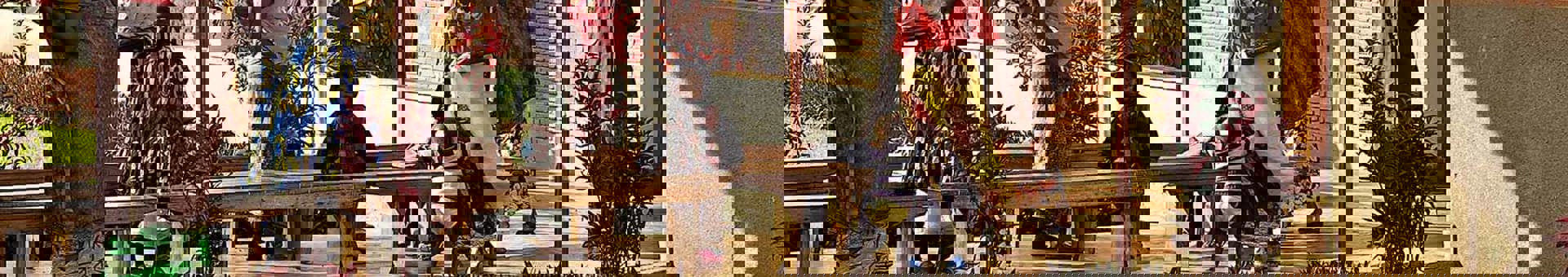 Targetaid Friends Of Panzi Hospital Hero Alt 2