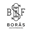 boras-skateboardforening-logo.png