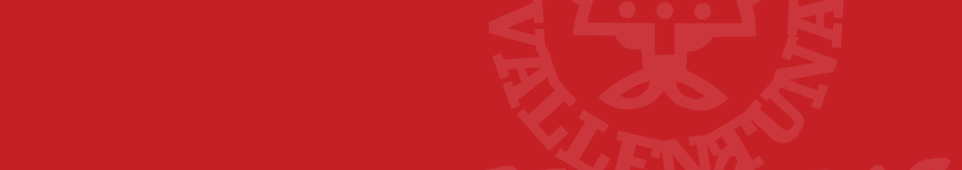 Vallentuna Hockey-logo-background.jpg (15)