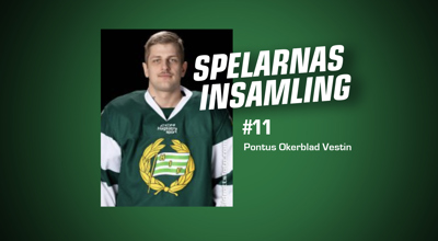 hammarby-hockey-Pontus-Okerblad-Vestin-lagets-insamling.jpg